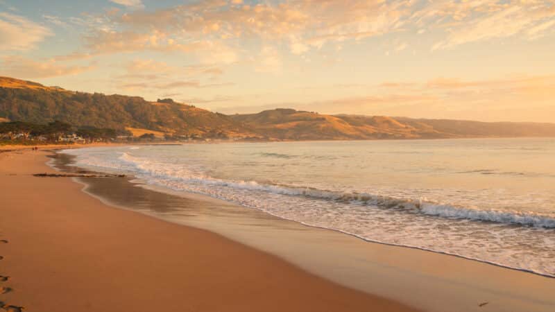 Warm morning light falls across Apollo Bay Beach and the surrounding hills as a small wave breaks along the shore.