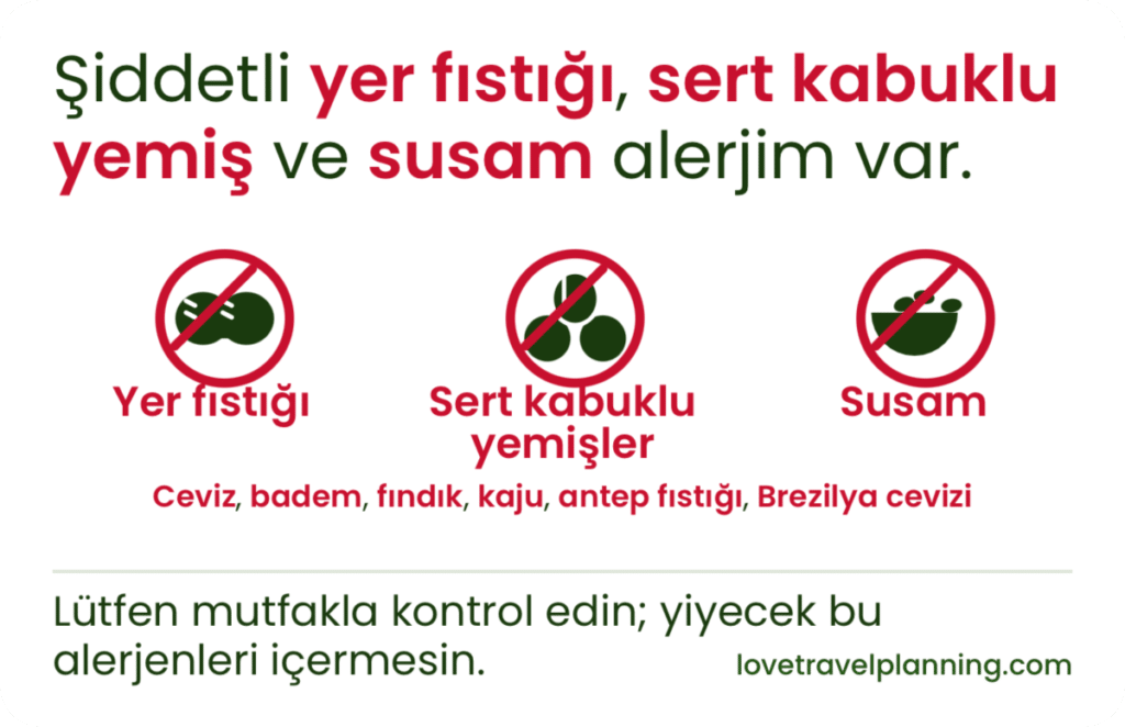 Turkish nut allergy card stating a severe allergy to peanuts (yer fıstığı), tree nuts (sert kabuklu yemiş) and sesame (susam), with three crossed-out icons and a request to check with the kitchen.