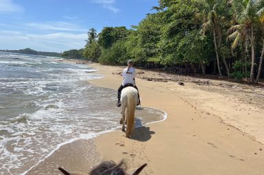 Tropical beach with turquoise surf on the left, golden sand in middle and green rainforest to the right. Photo taken by rider of a horse over the horses ears which you can see in the bottom of the photo. A second rider is ahead on the beach on a white horse